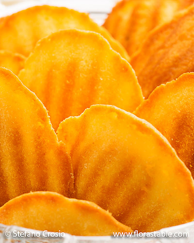 Basel olive oil and cheese madeleines