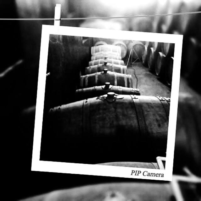 Chianti barrels (courtesy of Consorzio Vini Chianti)