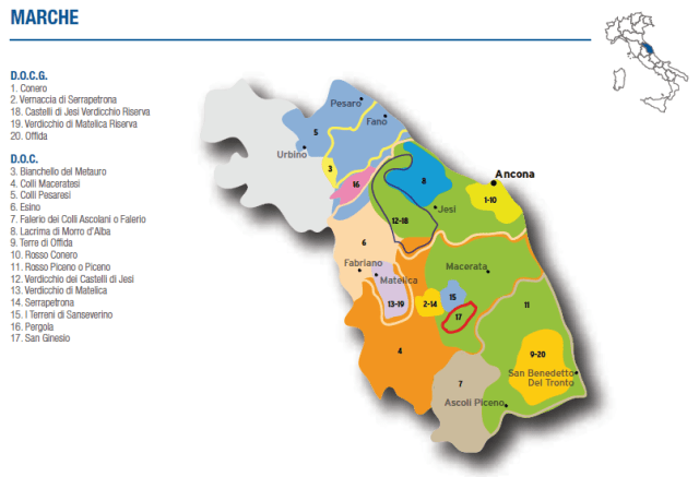 Wine Map of Marche – Courtesy of Federdoc (click on map to go to website)
